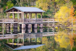 Brick Pond Park   North Augusta 0852